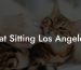 Cat Sitting Los Angeles