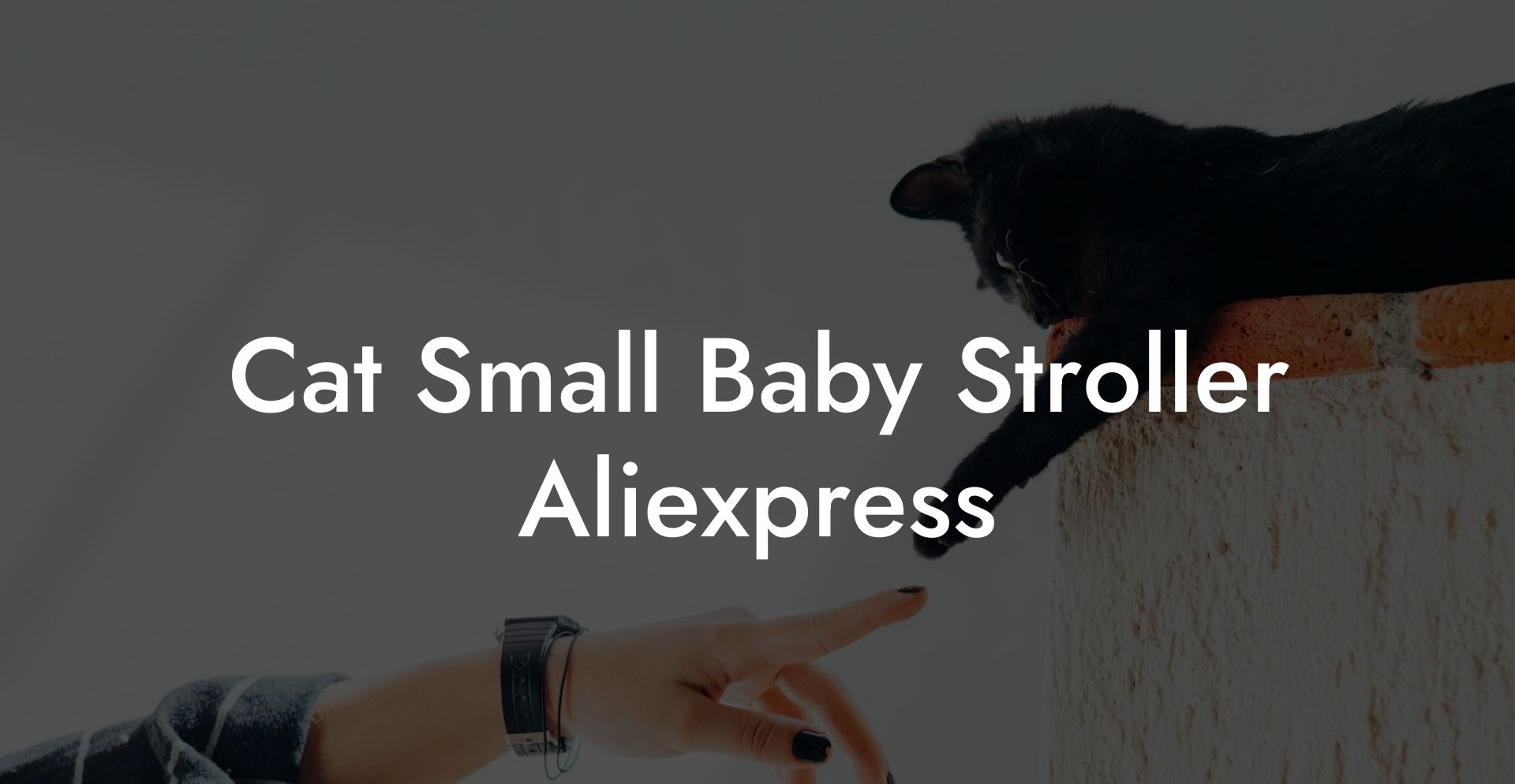 Cat Small Baby Stroller Aliexpress