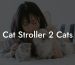 Cat Stroller 2 Cats
