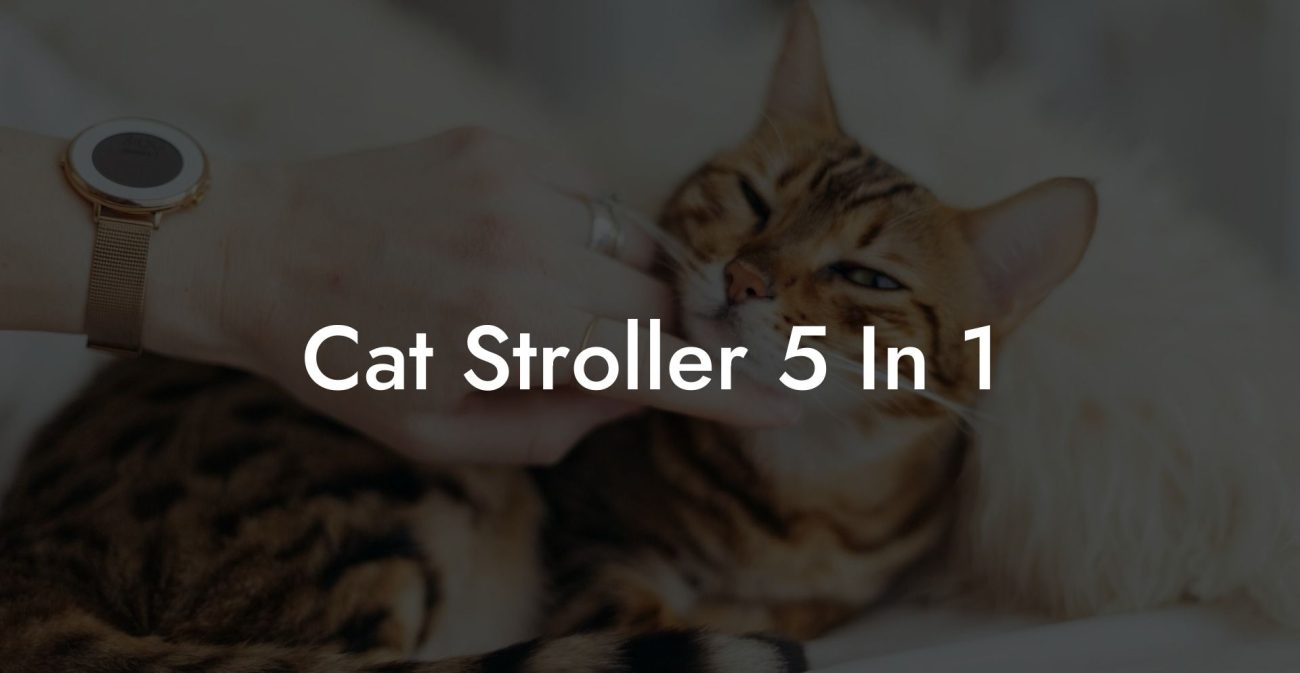 Cat Stroller 5 In 1