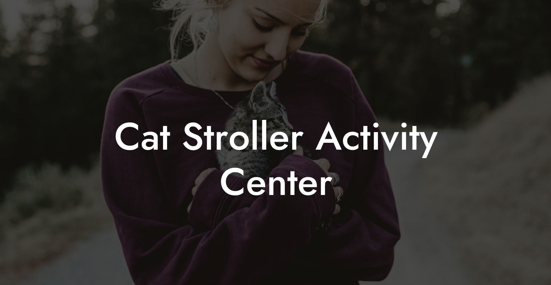 Cat Stroller Activity Center