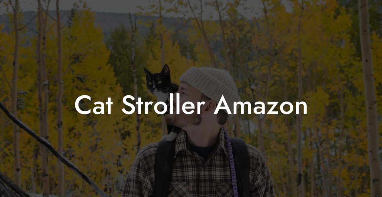 Cat Stroller Amazon