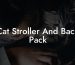 Cat Stroller And Back Pack
