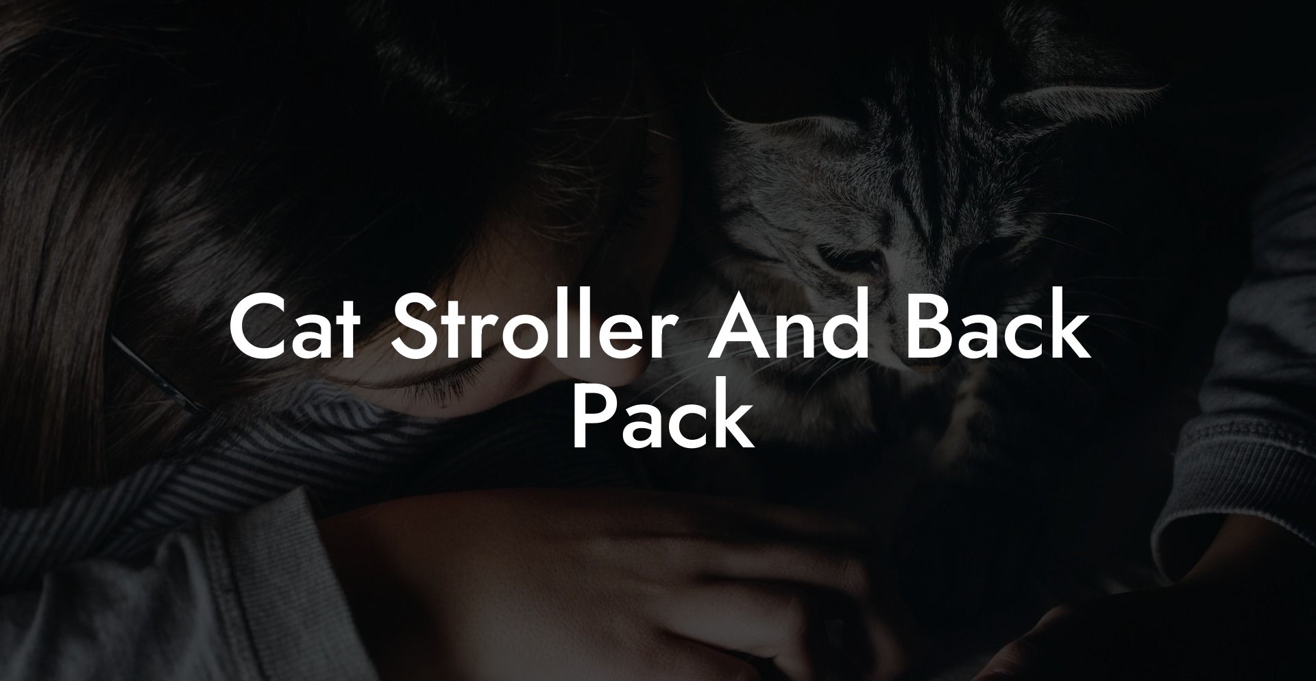Cat Stroller And Back Pack