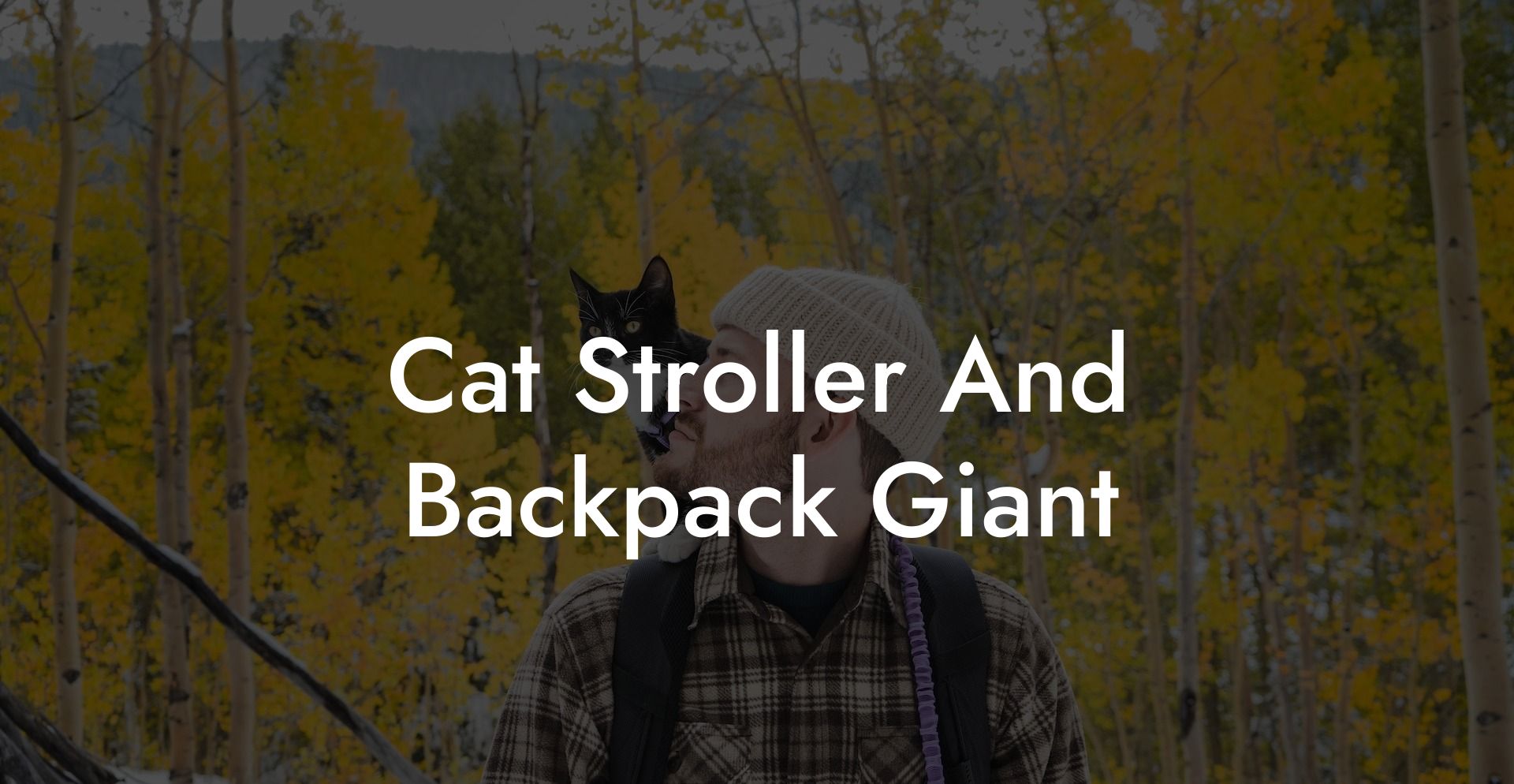 Cat Stroller And Backpack Giant