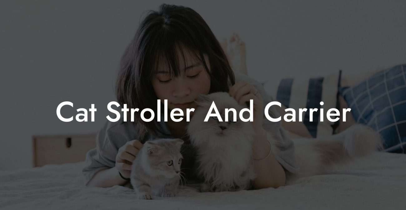 Cat Stroller And Carrier