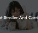 Cat Stroller And Carrier