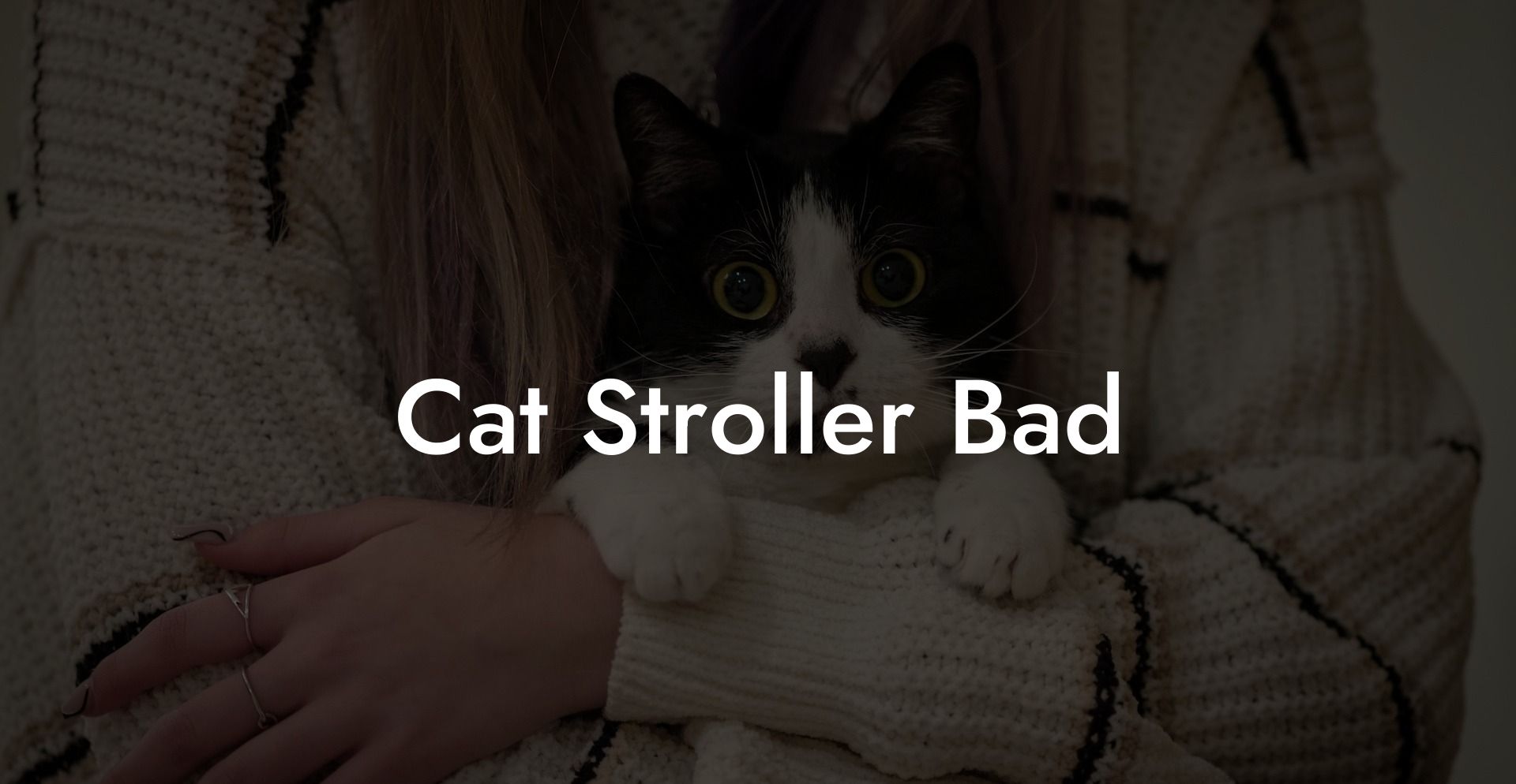 Cat Stroller Bad