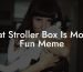 Cat Stroller Box Is More Fun Meme