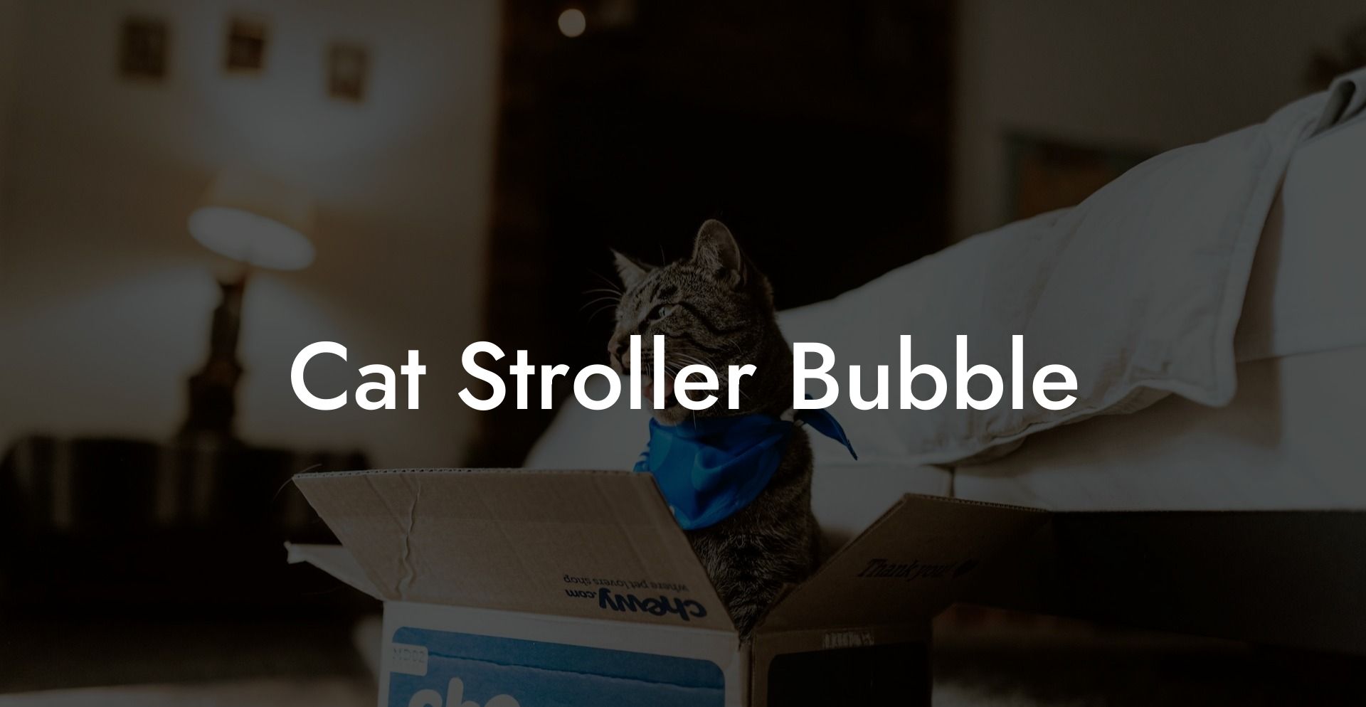 Cat Stroller Bubble