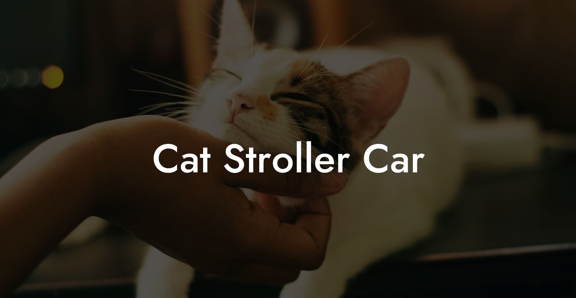 Cat Stroller Car