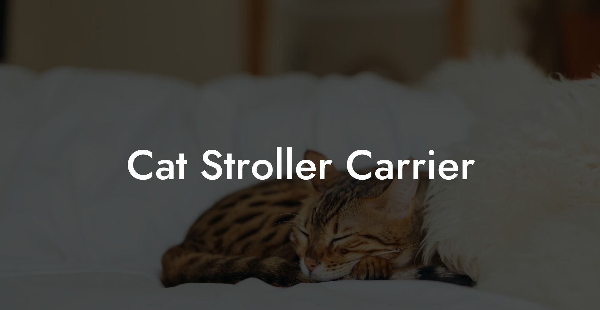Cat Stroller Carrier