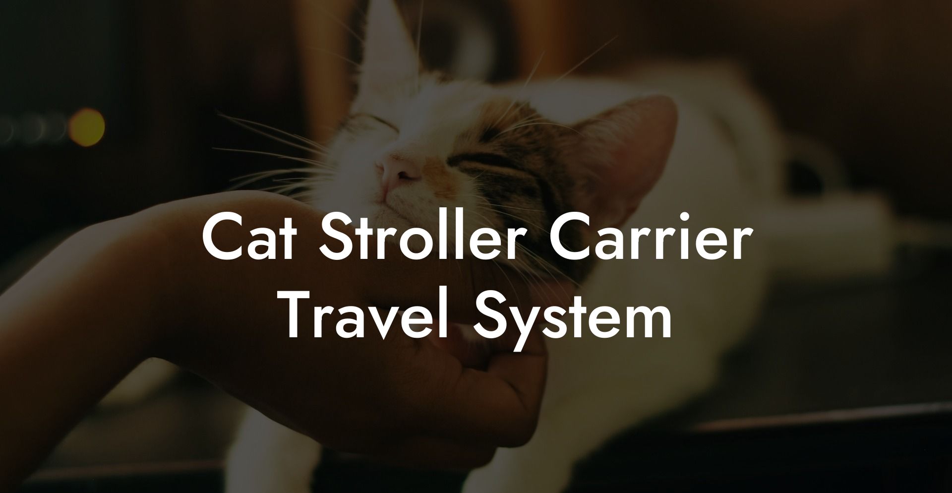 Cat Stroller Carrier Travel System