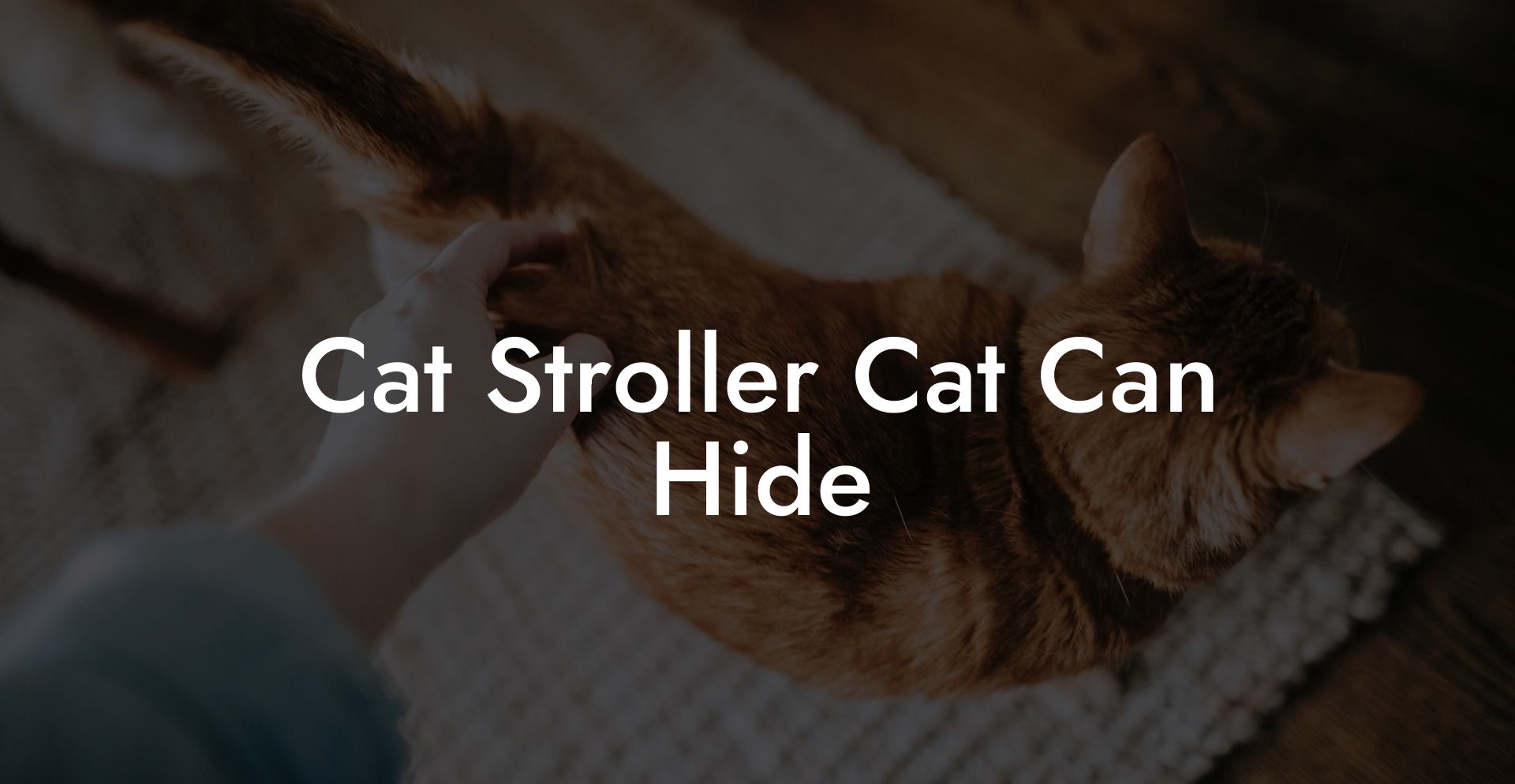 Cat Stroller Cat Can Hide