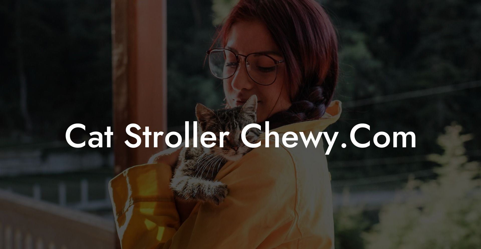 Cat Stroller Chewy.Com