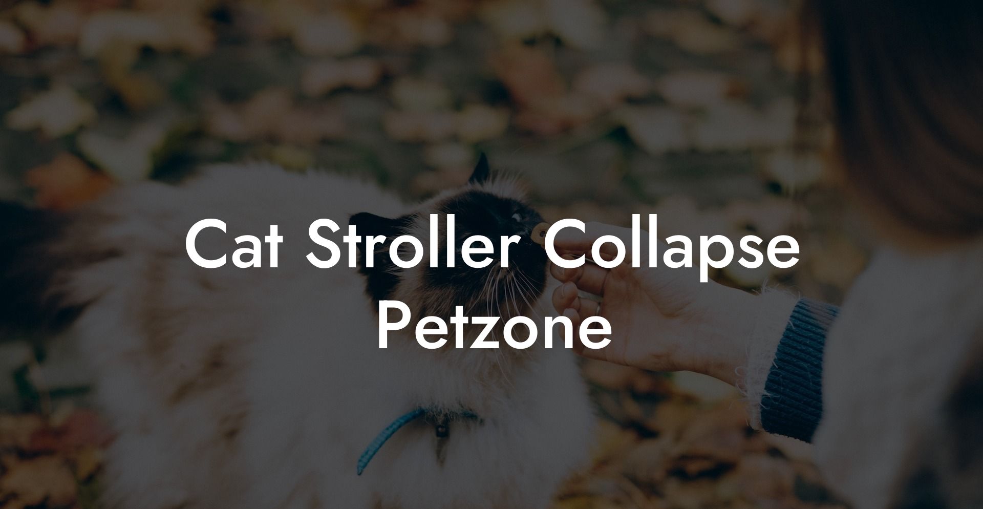Cat Stroller Collapse Petzone