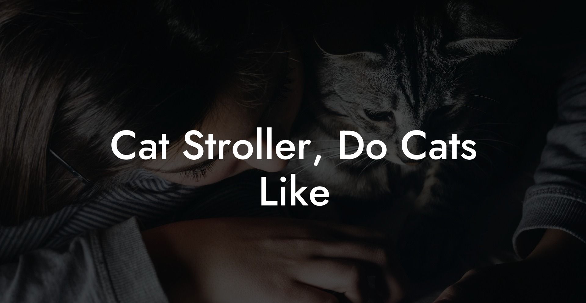 Cat Stroller, Do Cats Like