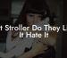 Cat Stroller Do They Like It Hate It