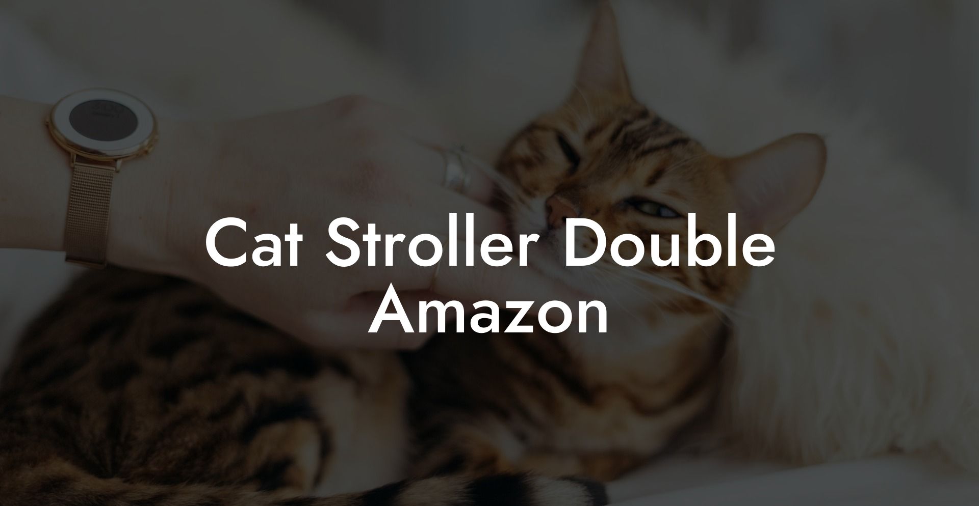Cat Stroller Double Amazon