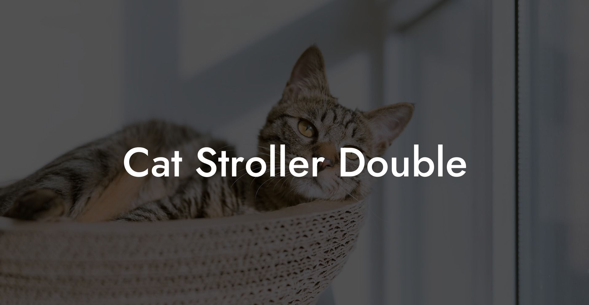 Cat Stroller Double
