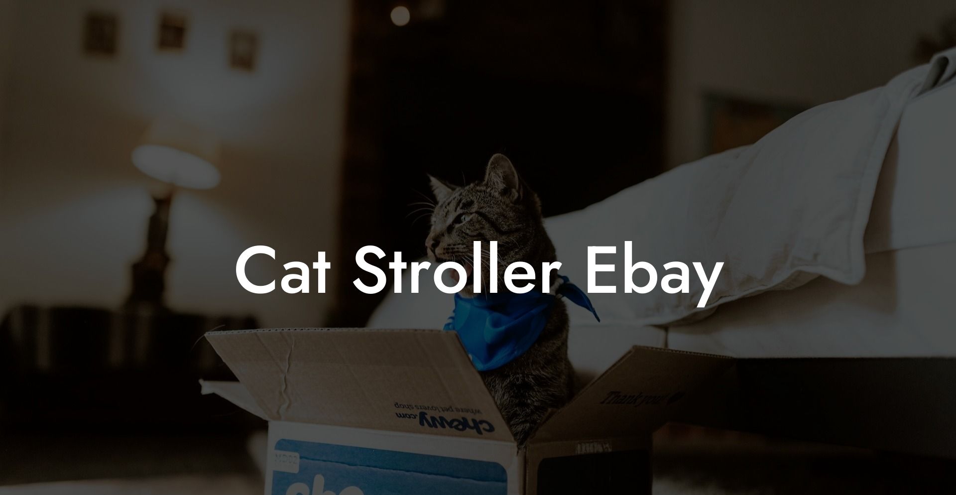 Cat Stroller Ebay