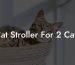 Cat Stroller For 2 Cats