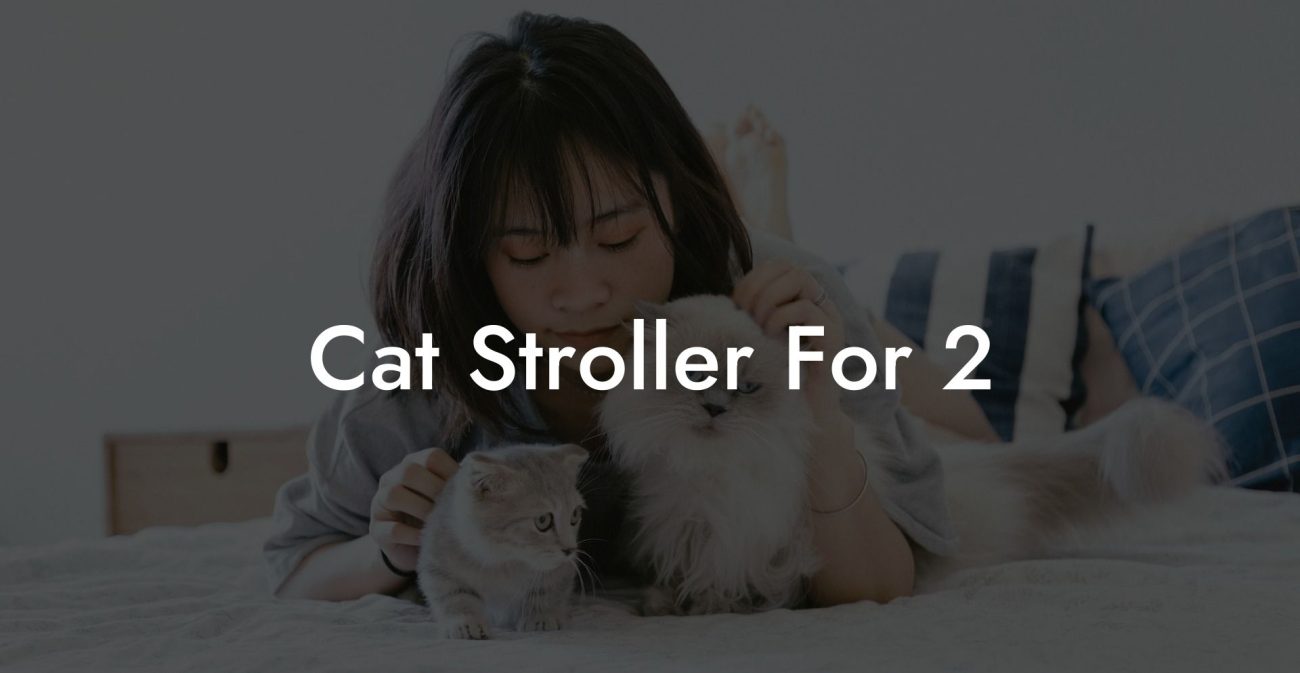 Cat Stroller For 2