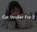 Cat Stroller For 2