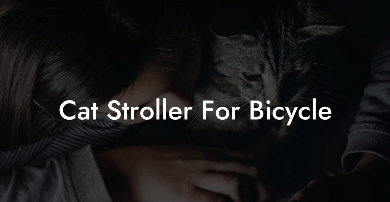 Cat Stroller For Bicycle