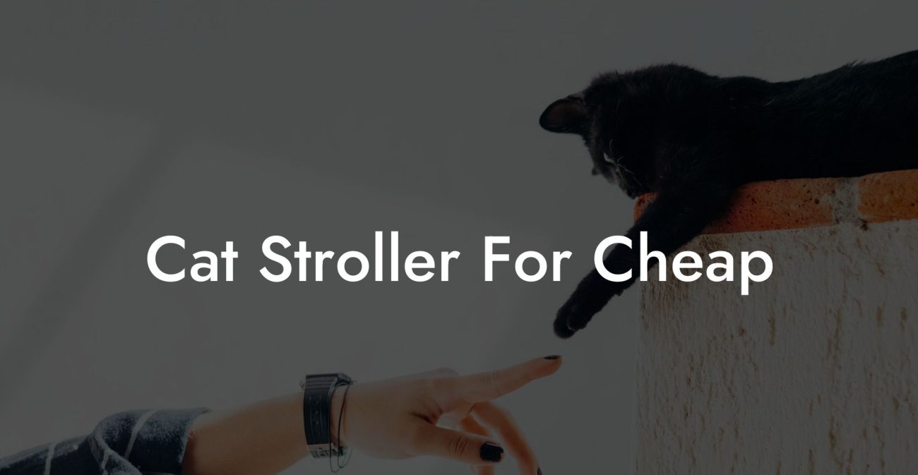 Cat Stroller For Cheap