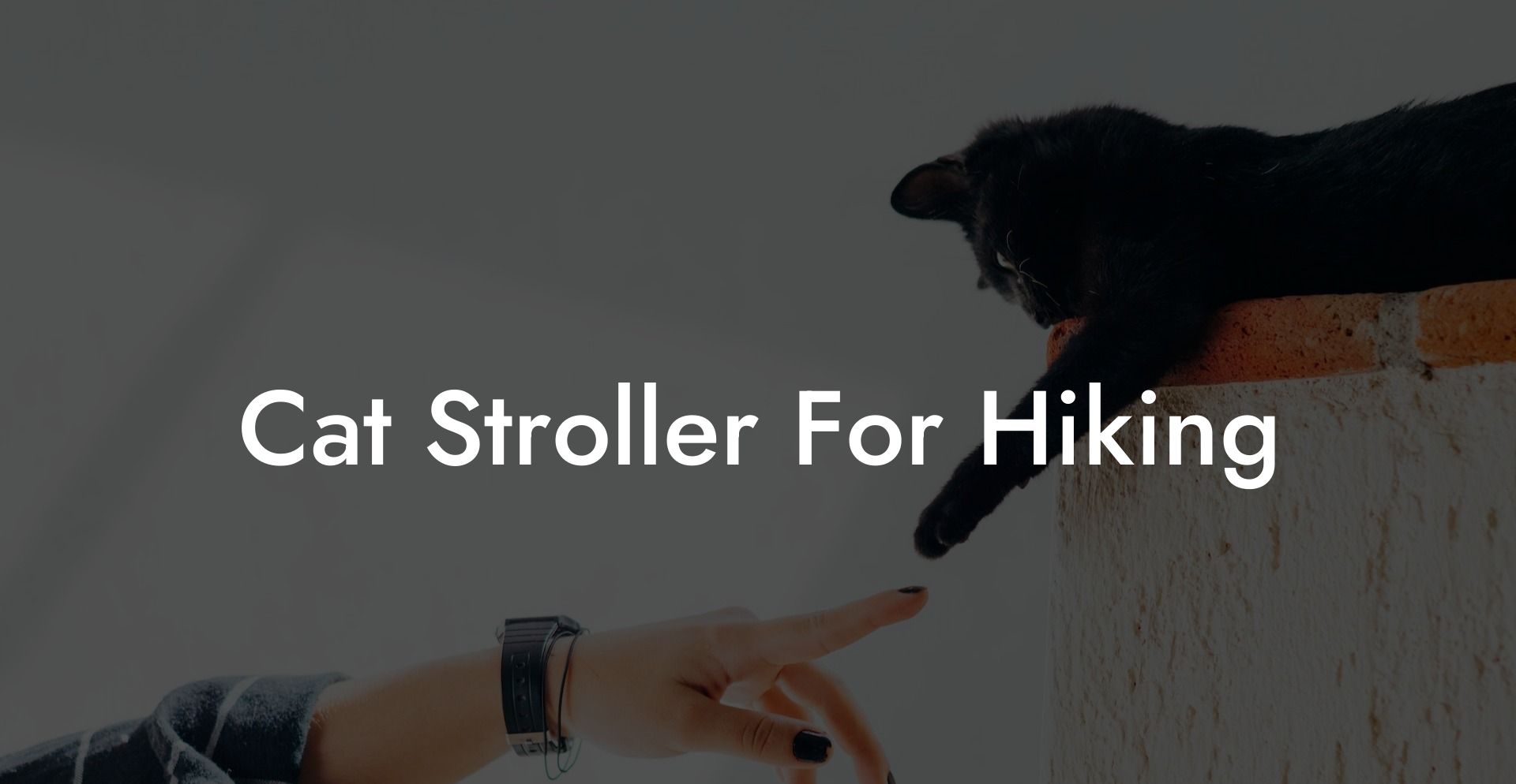 Cat Stroller For Hiking