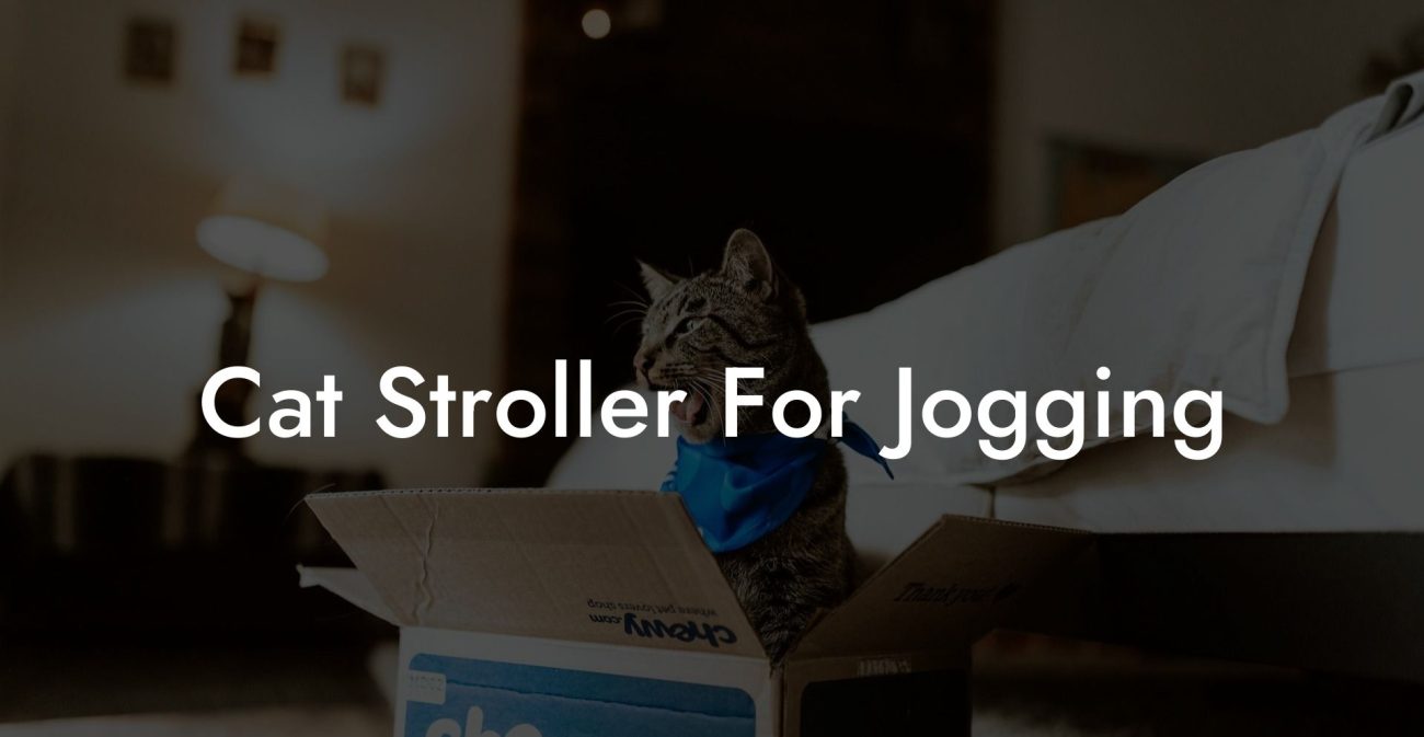 Cat Stroller For Jogging
