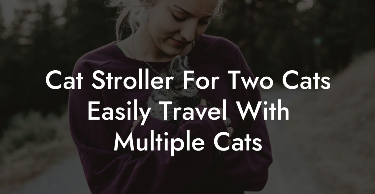 Cat Stroller For Two Cats Easily Travel With Multiple Cats