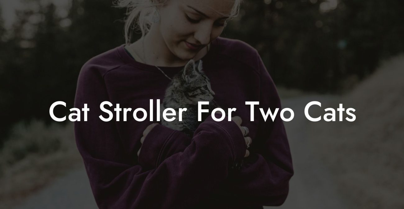 Cat Stroller For Two Cats