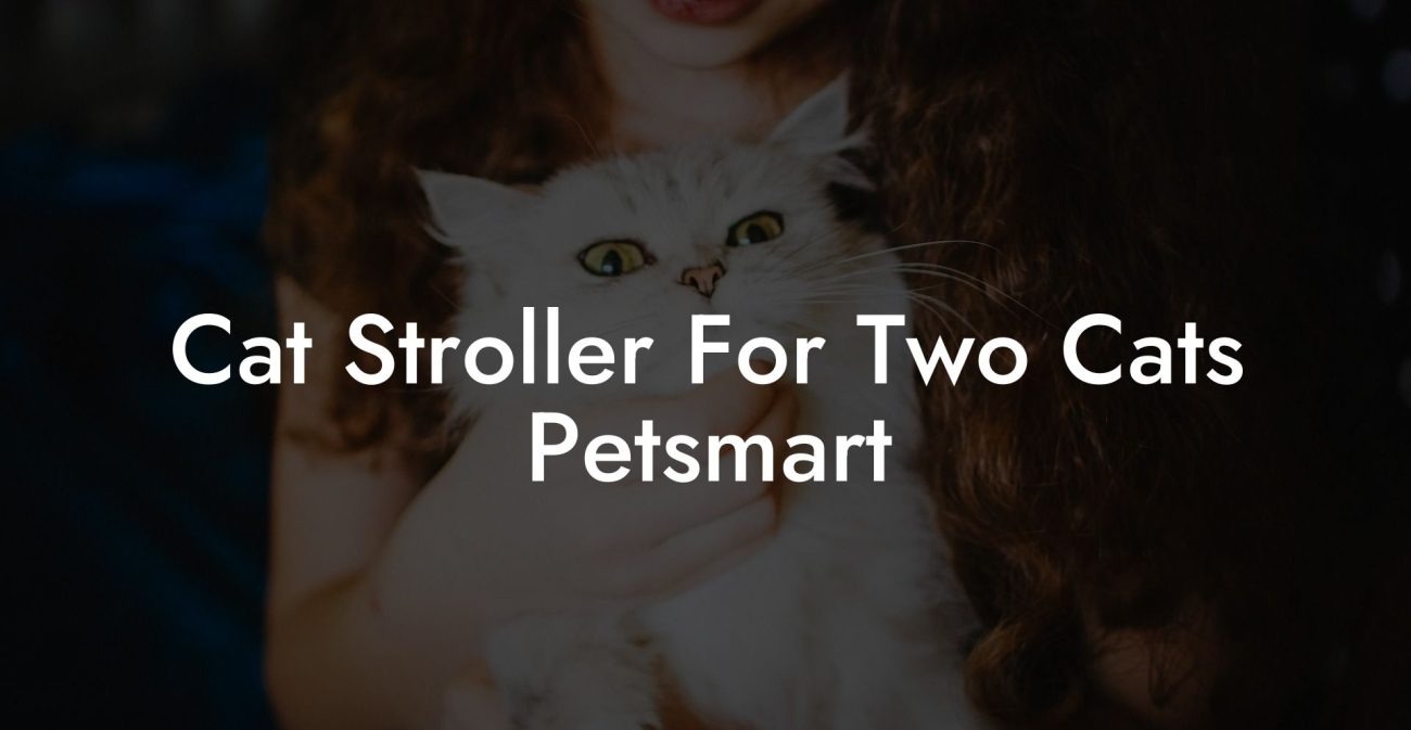 Cat Stroller For Two Cats Petsmart