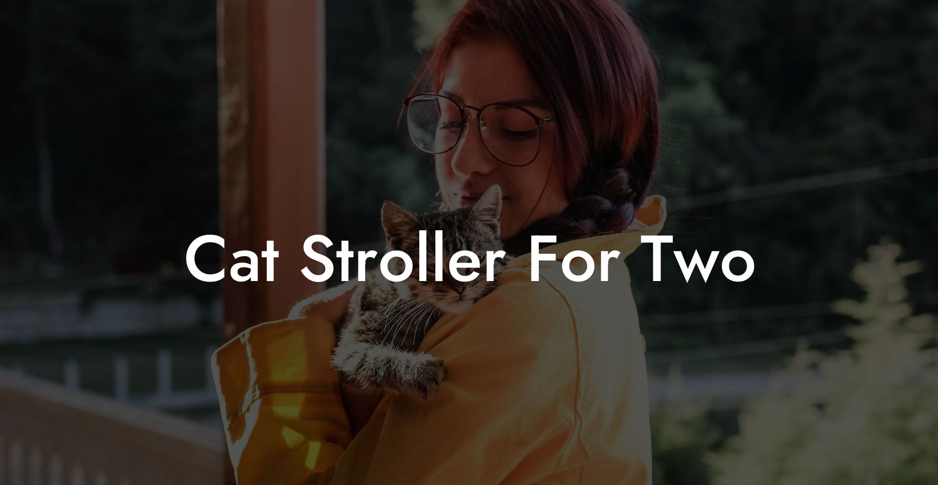 Cat Stroller For Two