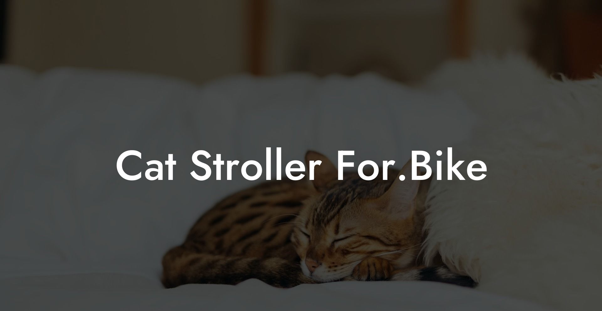 Cat Stroller For.Bike