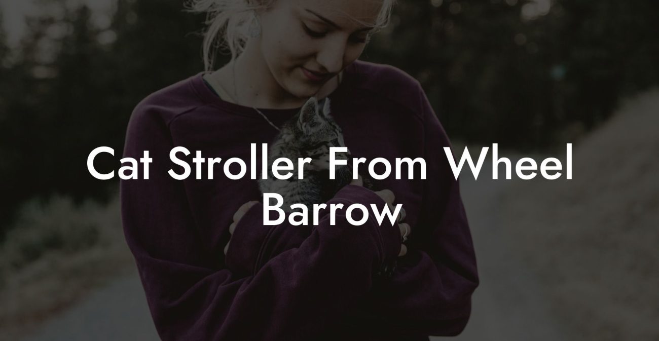 Cat Stroller From Wheel Barrow