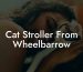 Cat Stroller From Wheelbarrow