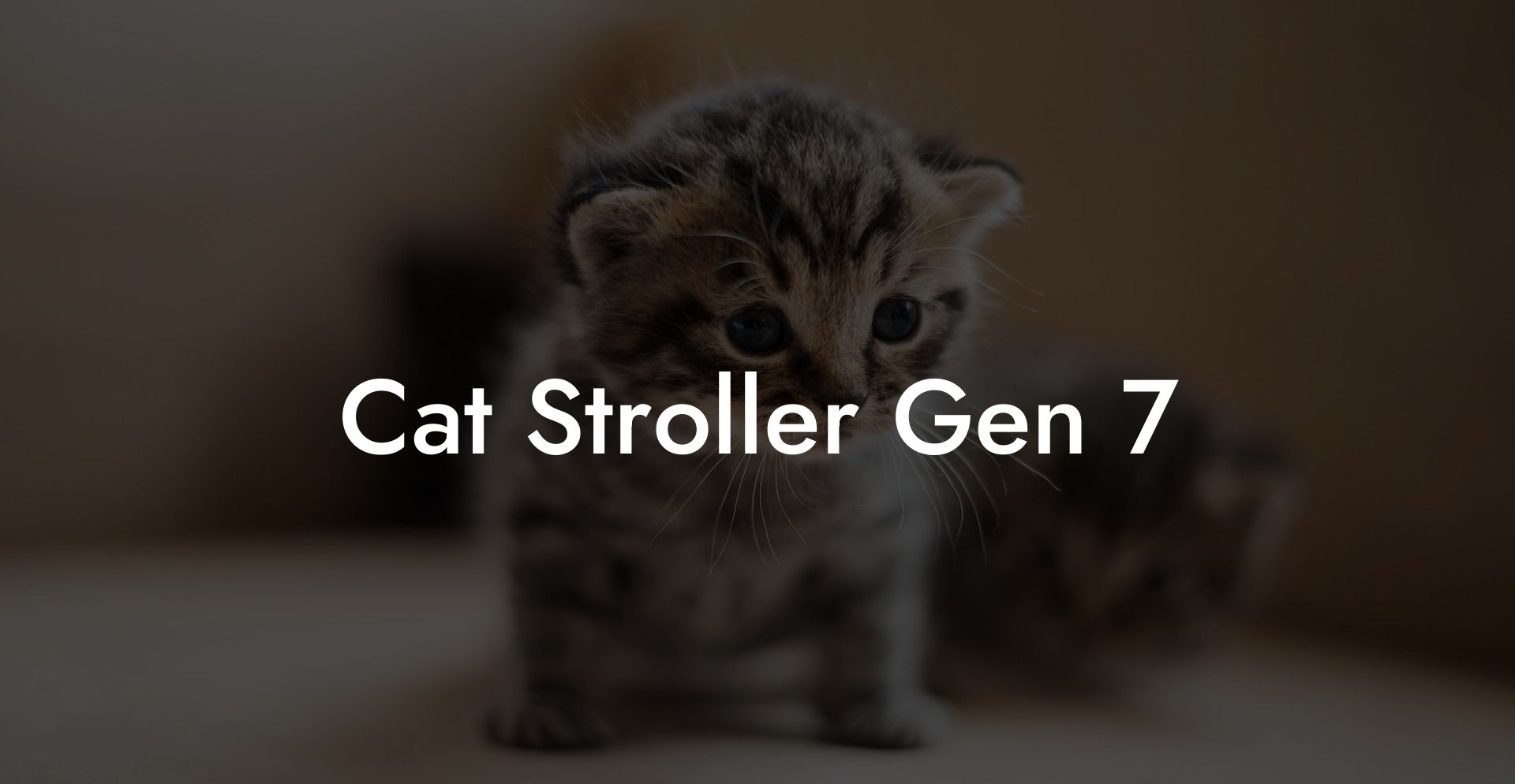 Cat Stroller Gen 7