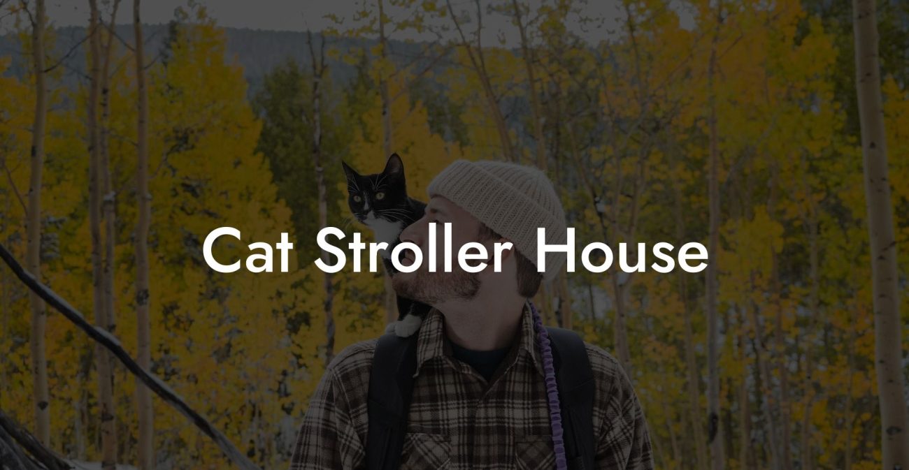 Cat Stroller House