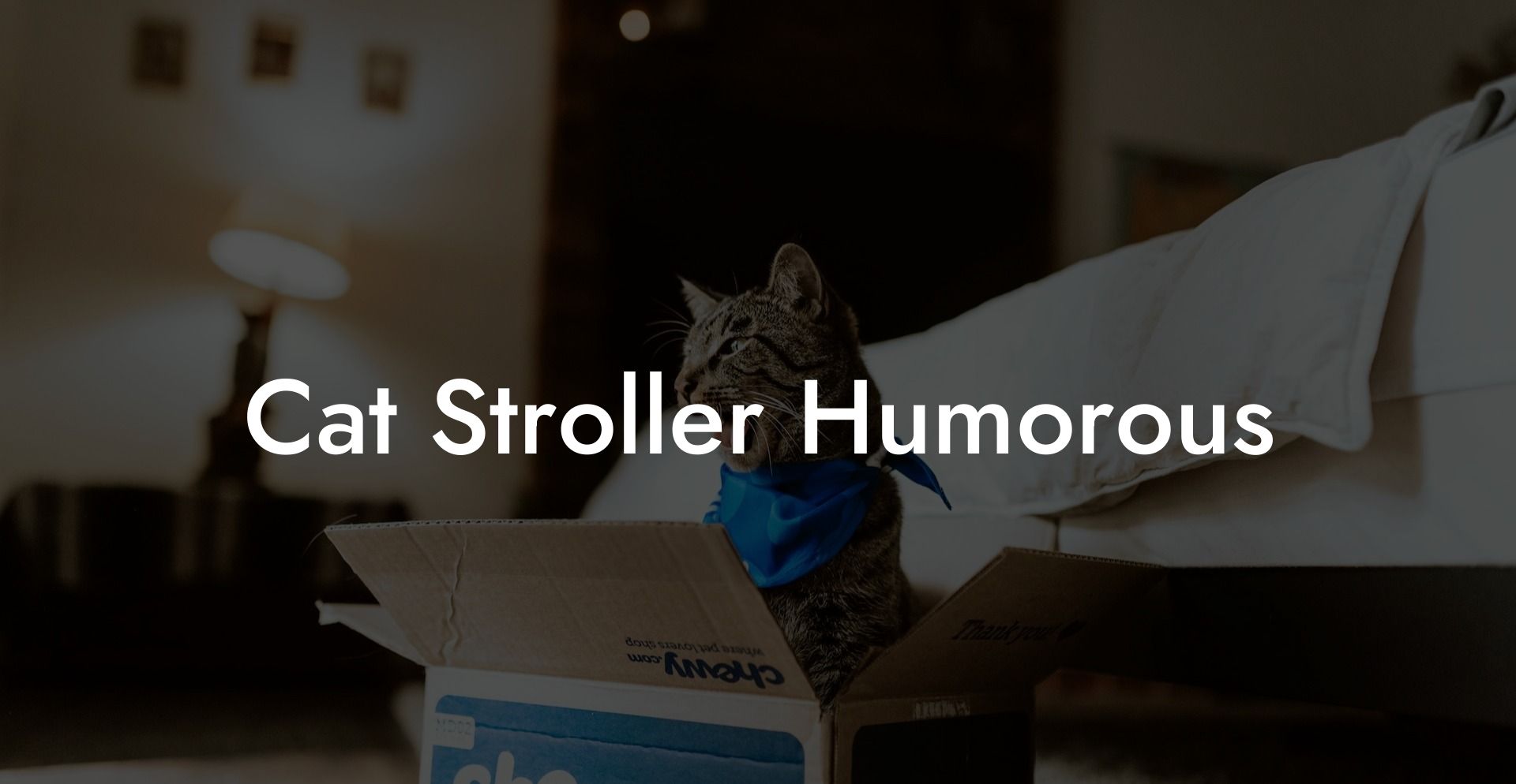 Cat Stroller Humorous