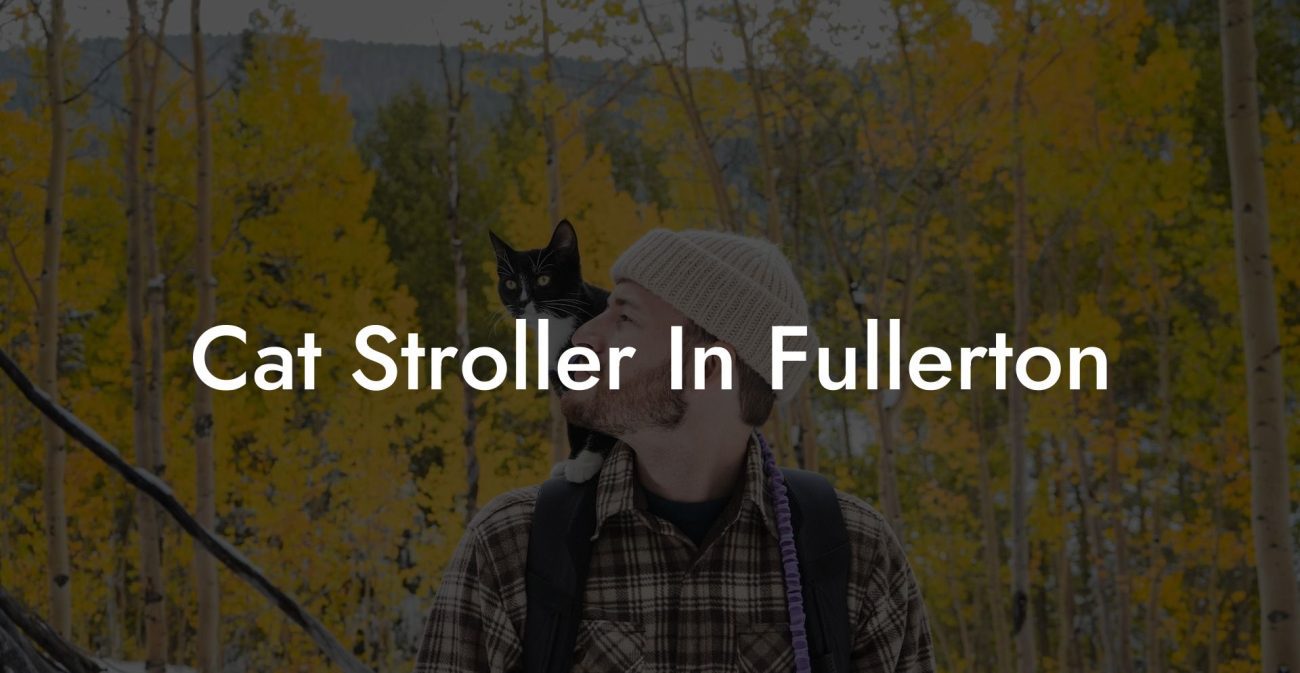 Cat Stroller In Fullerton