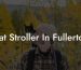 Cat Stroller In Fullerton