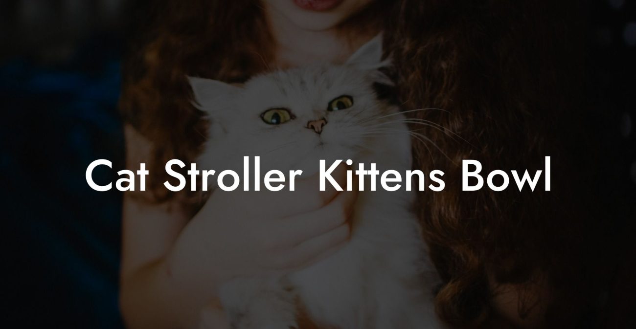 Cat Stroller Kittens Bowl