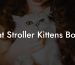 Cat Stroller Kittens Bowl