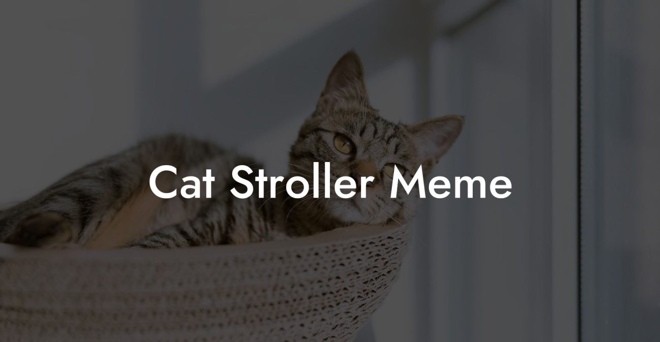 Cat Stroller Meme