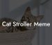 Cat Stroller Meme