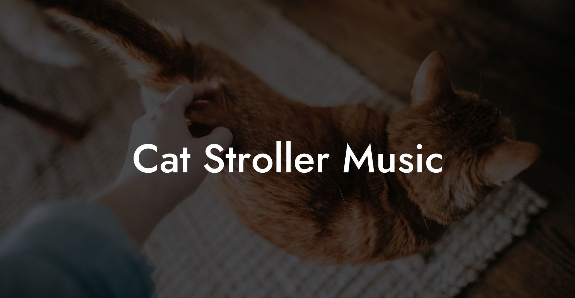 Cat Stroller Music
