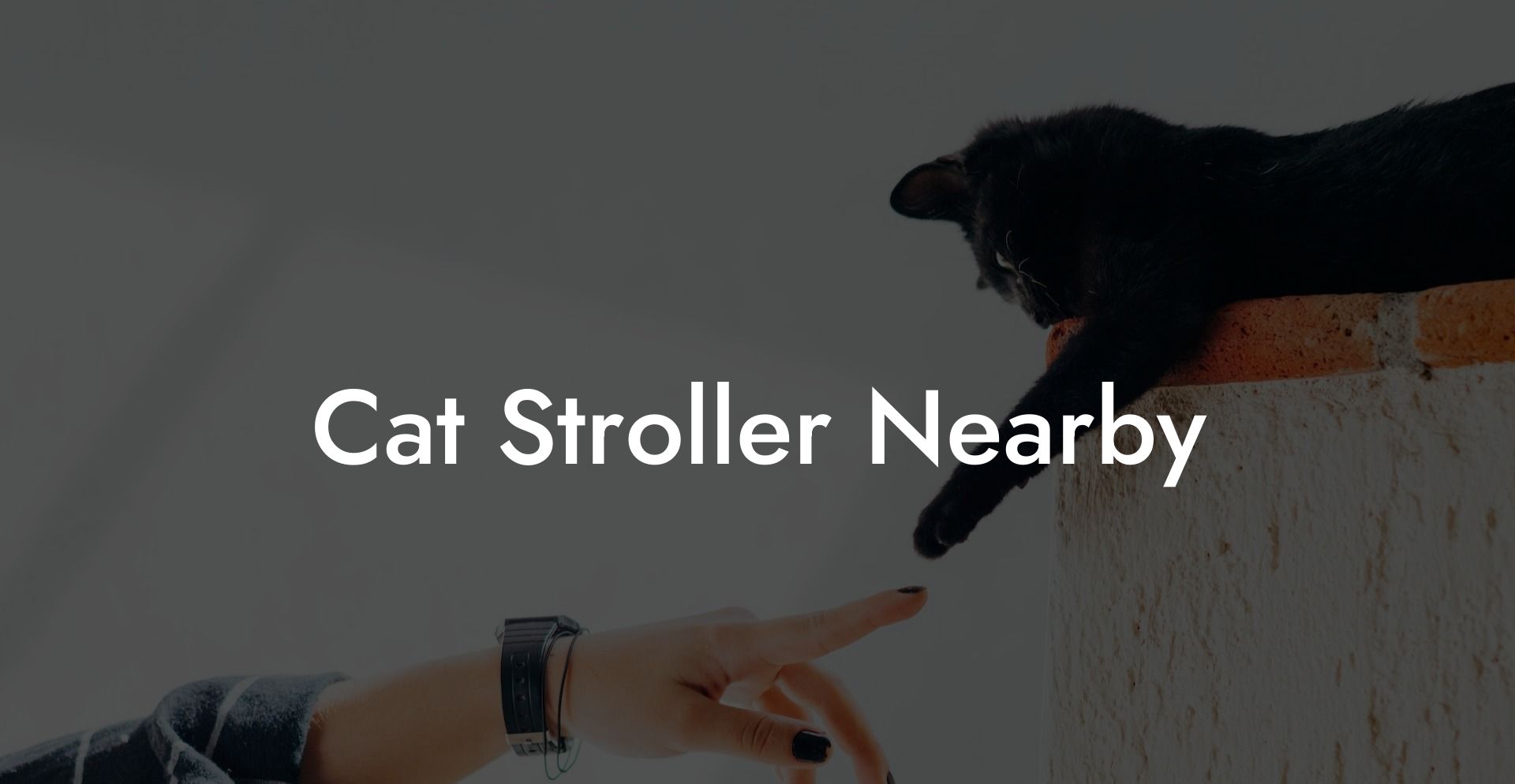 Cat Stroller Nearby